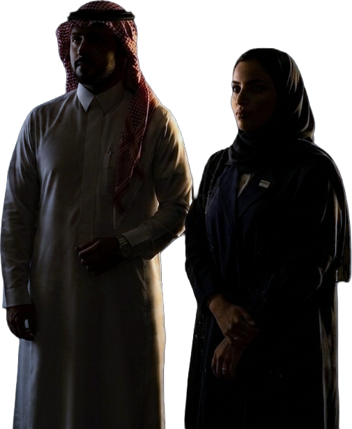 Saudi professionals